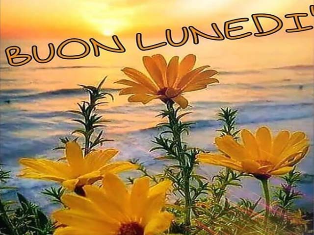 Buon lunedì.
