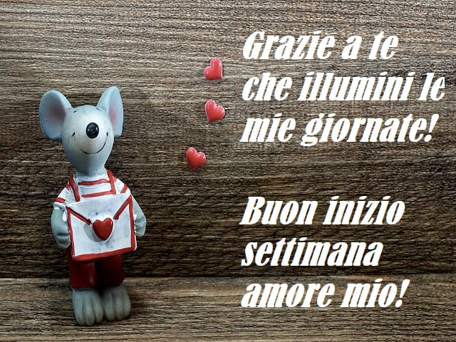 Grazie a te che illumini le mie giornate! Buon inizio settimana amore mio!