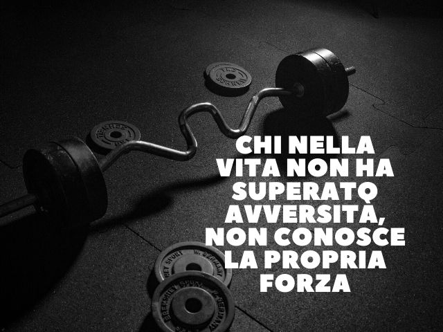 Chi nella vita non ha superato avversità, non conosce la propria forza