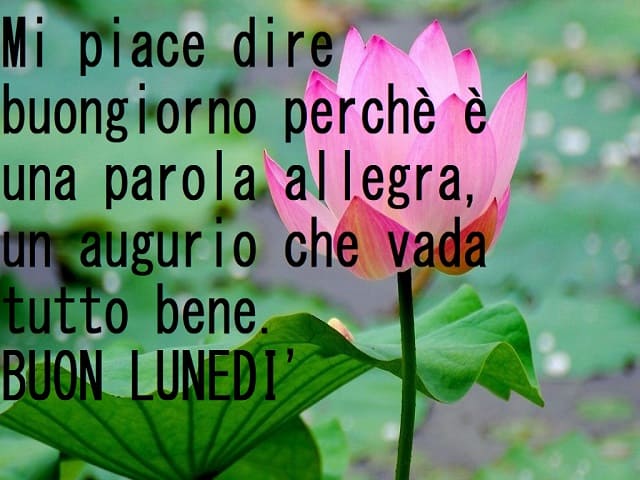 Mi piace dire buongiorno perché è una parola allegra, un augurio che vada tutto bene. Buon lunedì.