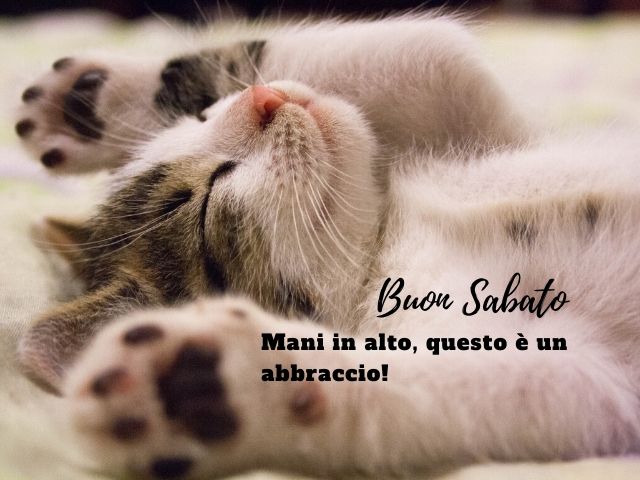 Buon sabato. Mani in alto, questo è un abbraccio!