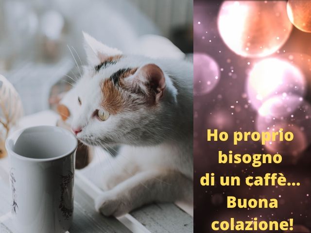 Ho proprio bisogno di un caffè.... buona colazione!