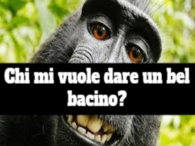 Chi mi vuole dare un bel bacino?