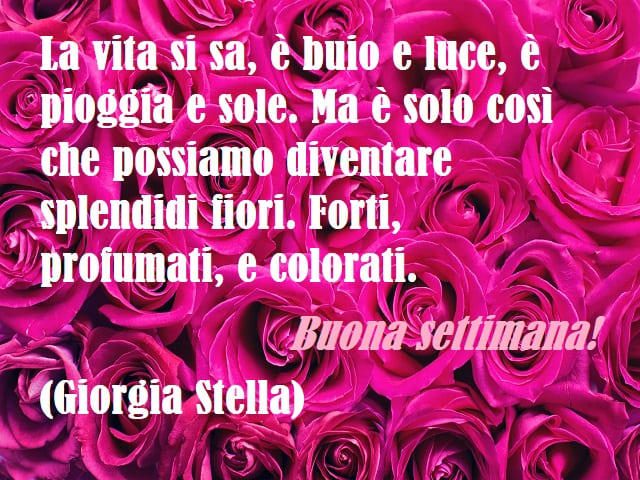 La vita si sa, è buio e luce, è pioggia e sole. Ma è solo così che possiamo diventare splendidi fiori. Forti, profumati, e colorati. Buona settimana! (Giorgia Stella)