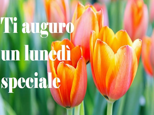 Ti auguro un lunedì speciale.