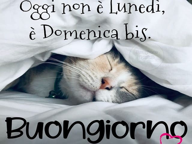 Oggi non è lunedì è domenica bis. Buongiorno.