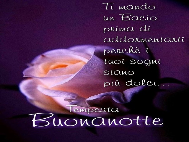 Ti mando un bacio prima di addormentarti perché i tuoi sogni siano più dolci...Buonanotte