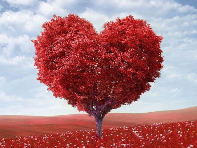 poesie d'amore in inglese