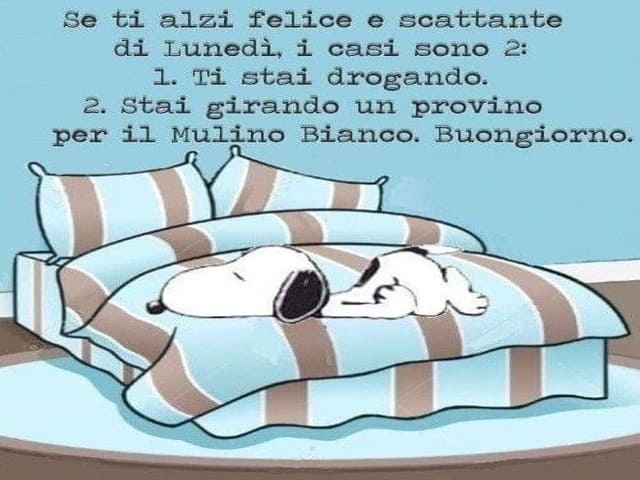 Se ti alzi felice e scattante di Lunedì, i casi sono 2: 1. Ti stai drogando. 2. Stai girando un provino per il Mulino Bianco. Buongiorno!