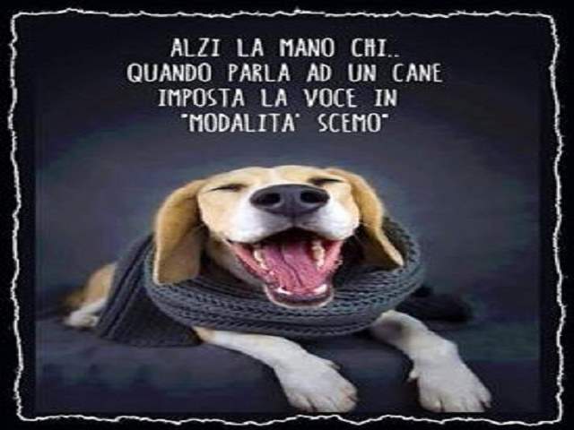 Alzi la mano chi, quando parla ad un altro cane, imposta la voce in "Modalità scemo".