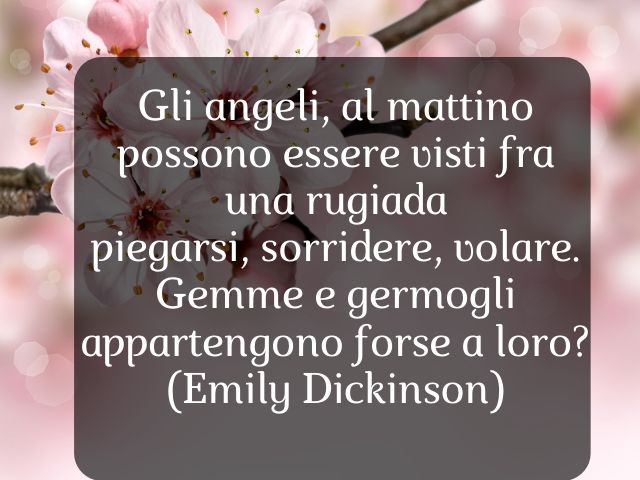 Gli angeli, al mattino possono essere visti fra una rugiada piegarsi, sorridere, volare. Gemme e germogli appartengono forse a loro?(Emily Dickinson)