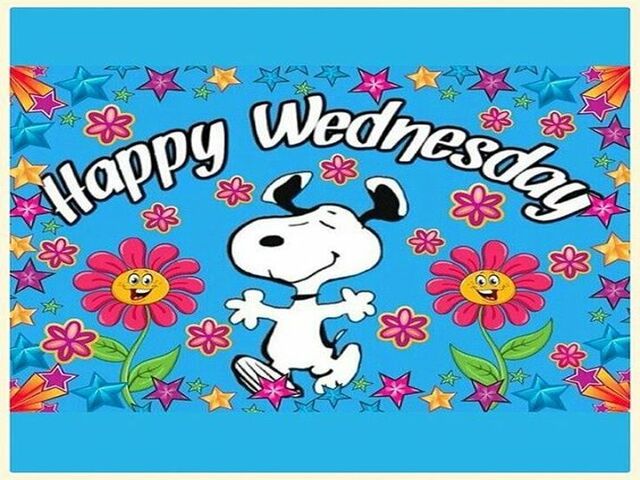 Happy wednesday (Felice mercoledì)