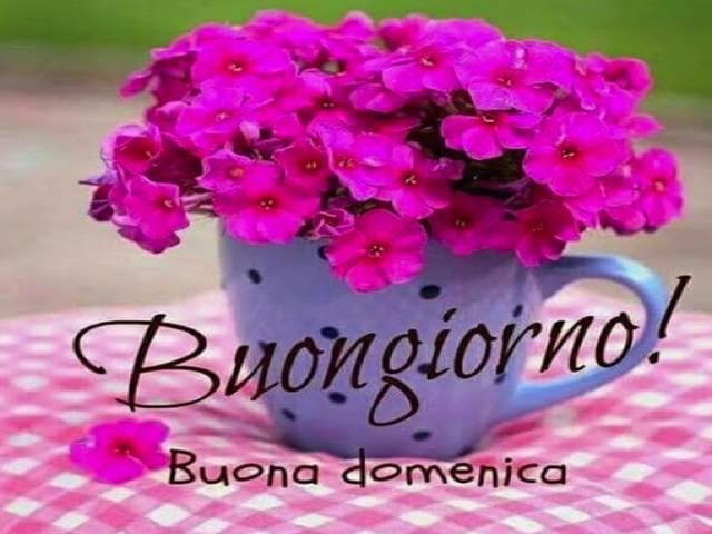 Buongiorno! Buona domenica