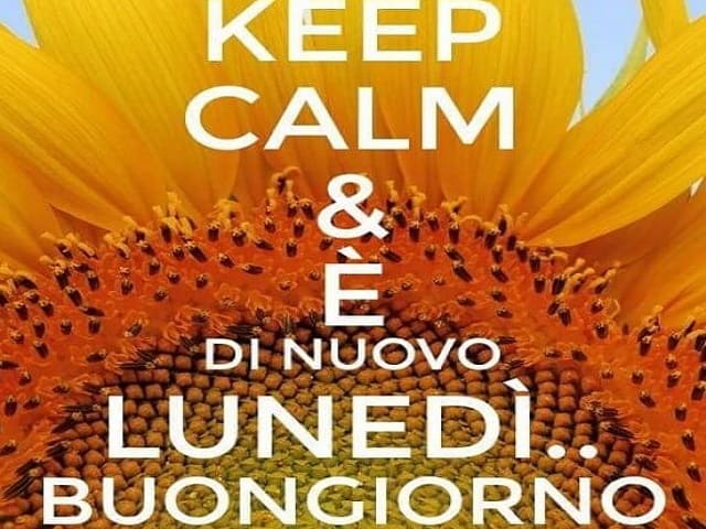 Keep calm & è di nuovo lunedì...Buongiorno.
