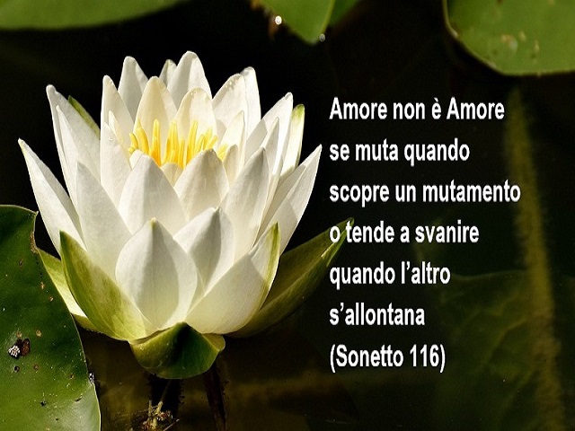 Amore non è amore, se muta, quando scopre un mutamento o tende a svanire quando l'altro l'allontana. (Sonetto 116)