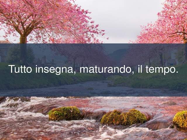 Tutto insegna, maturando, il tempo.