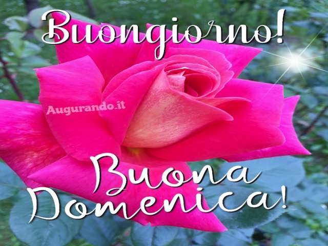 Buongiorno! Buona domenica!