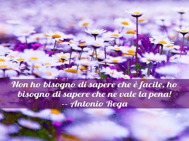 Non ho bisogno di sapere che è facile, ho bisogno di sapere che ne vale la pena! (Antonio Rega)
