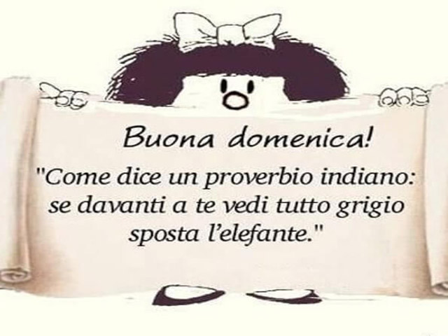 Buona domenica! Come dice un proverbio indiano, se davanti a te vedi tutto grigio sposta l'elefante.