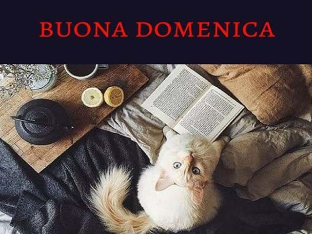 Buona domenica
