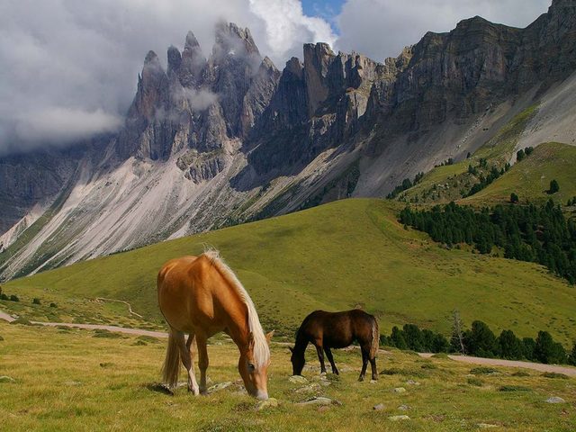 estate in montagna
