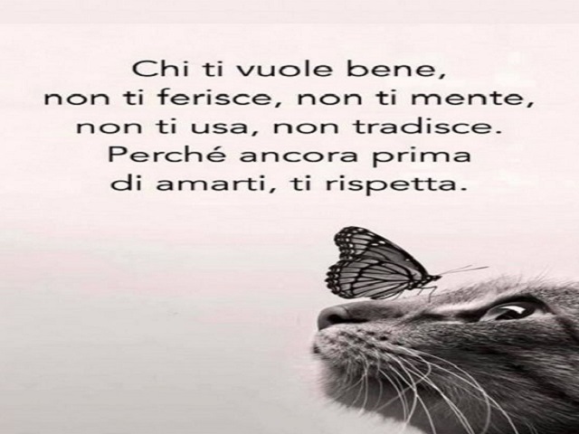 Chi ti vuole bene, non ti ferisce, non ti mente, non ti usa, non tradisce. Perché ancora prima di amarti, ti rispetta.