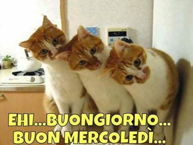 Ehi...Buongiorno, buon mercoledì