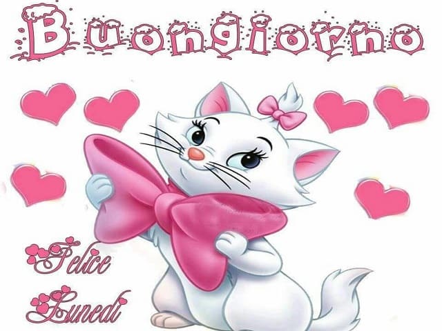 Buongiorno! Felice lunedì.