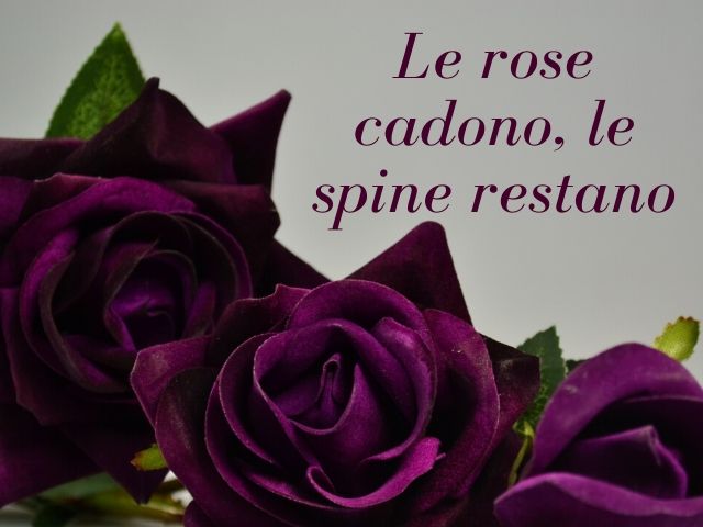 Le rose cadono, le spine restano.