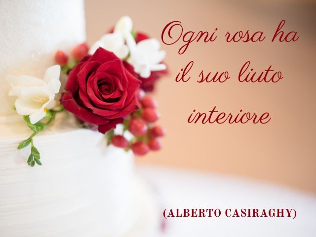 Ogni rosa ha il suo liuto interiore.(Alberto Casiraghy)