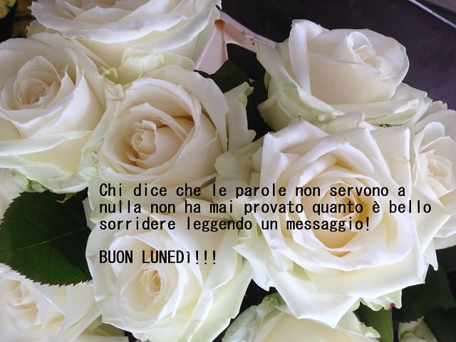 Chi dice che le parole non servono a nulla non ha mai provato quanto è bello sorridere leggendo un messaggio! Buon lunedì!!!