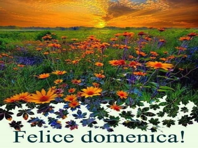 Felice domenica!