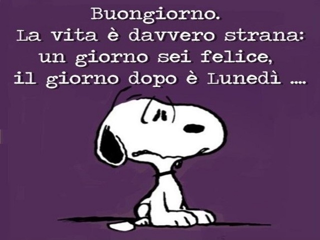 Buongiorno. La vita è davvero strana: un giorno sei felice, il giorno dopo è Lunedì ....
