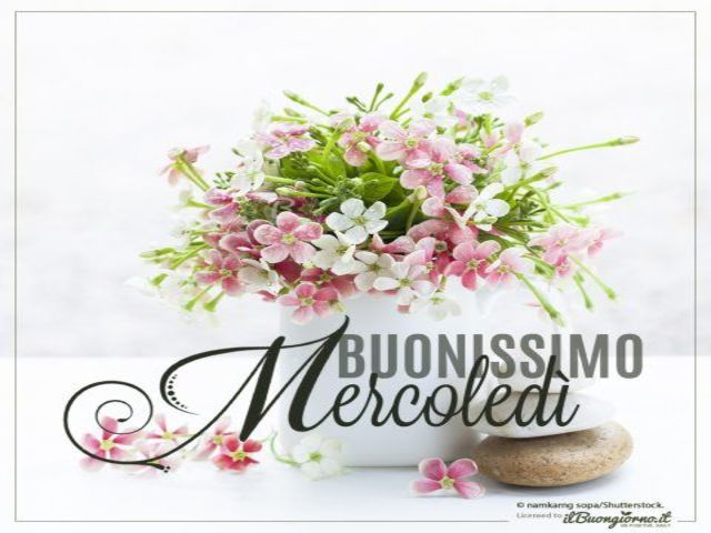 Buonissimo mercoledì!