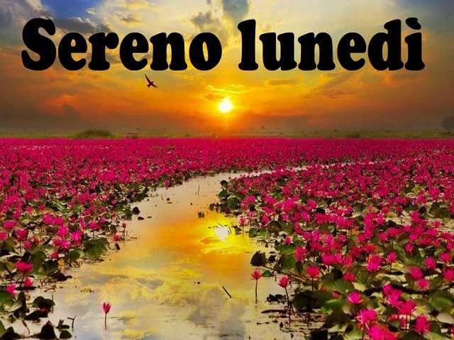 Sereno lunedì.