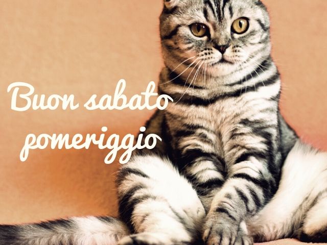 Buon sabato pomeriggio