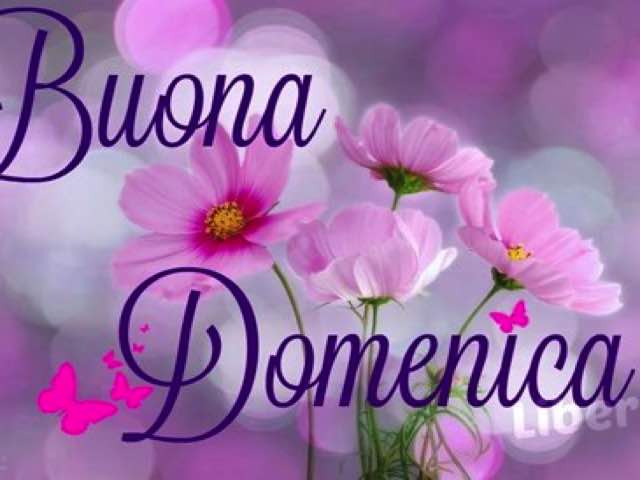 Buona domenica