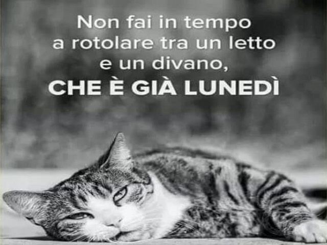 Non fai in tempo a rotolare tra un letto e un divano che è già Lunedì.