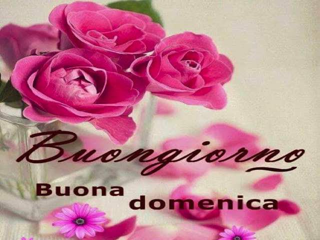 Buongiorno! Buona domenica