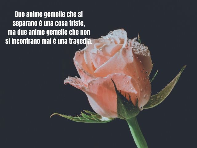 Due anime gemelle che si separano è una cosa triste,ma due anime gemelle che non si incontrano mai è una tragedia