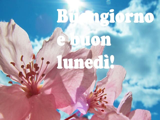 Buongiorno e buon lunedì!