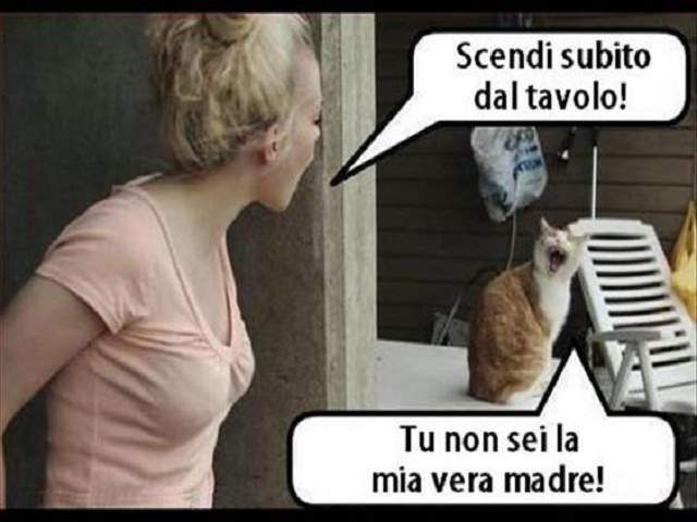 -Scendi dal tavolo?-Tu non sei la mia vera madre!