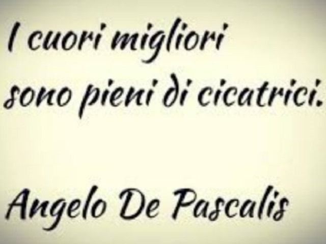 I cuori migliori sono pieni di cicatrici.(Angelo De Pascalis)