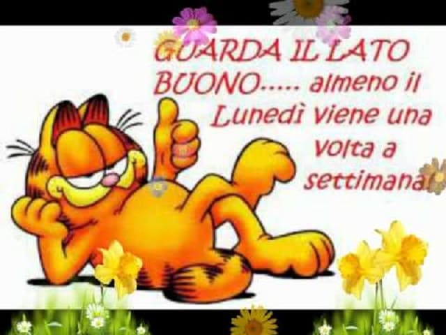 Guarda il lato buono ..... almeno il Lunedì viene una volta a settimana!