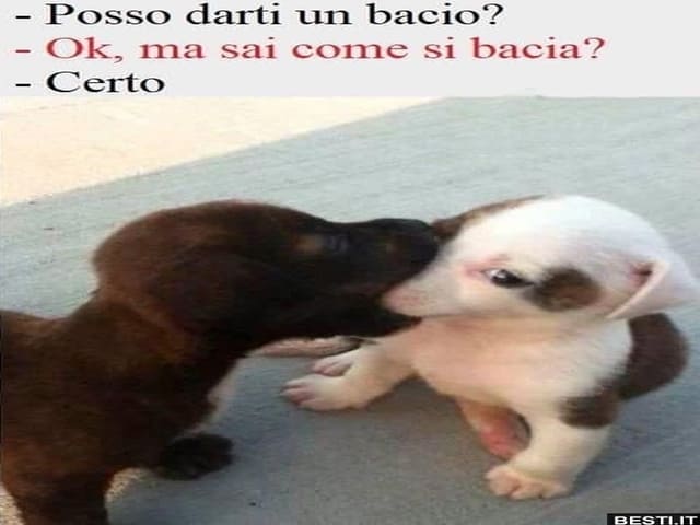 "Posso darti un bacio?""Ok, ma sai come si bacia?""Certo".