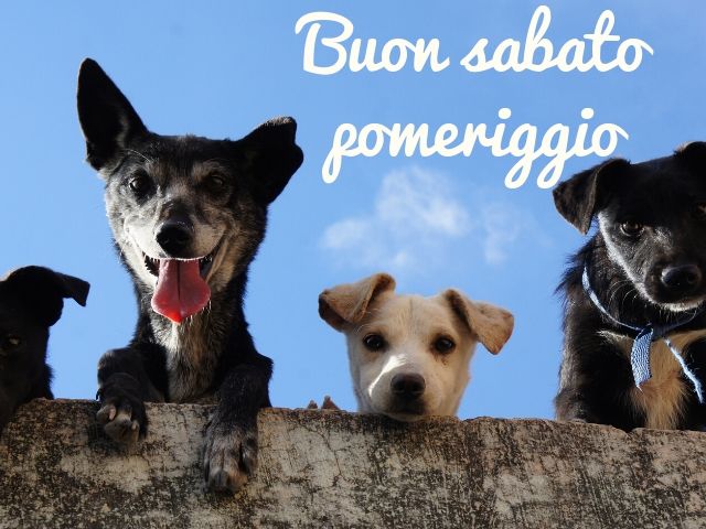 buon sabato pomeriggio