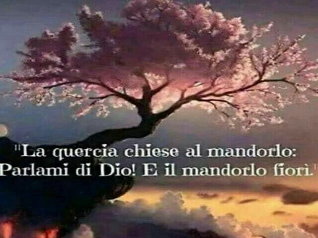 "La quercia chiese al mandorlo: Parlami di Dio! E il mandorlo fiorì."