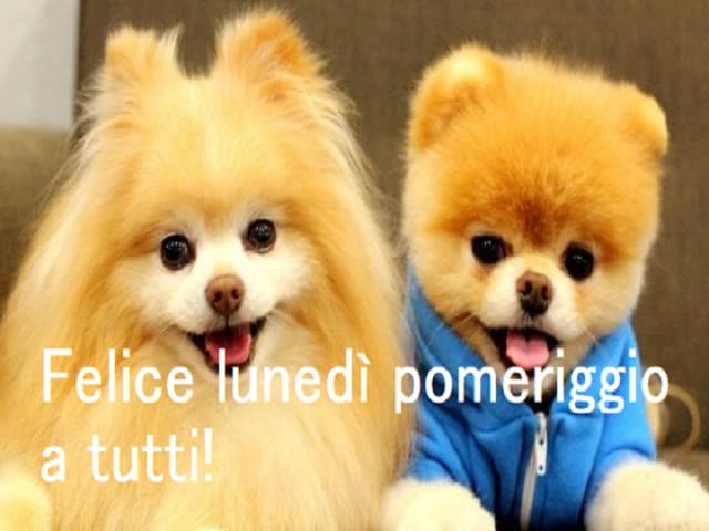 Felice lunedì pomeriggio a tutti!