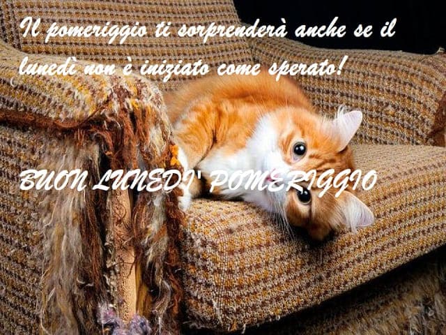 Il pomeriggio ti sorprenderà anche se il lunedì non è iniziato come sperato!Buon lunedì pomeriggio.