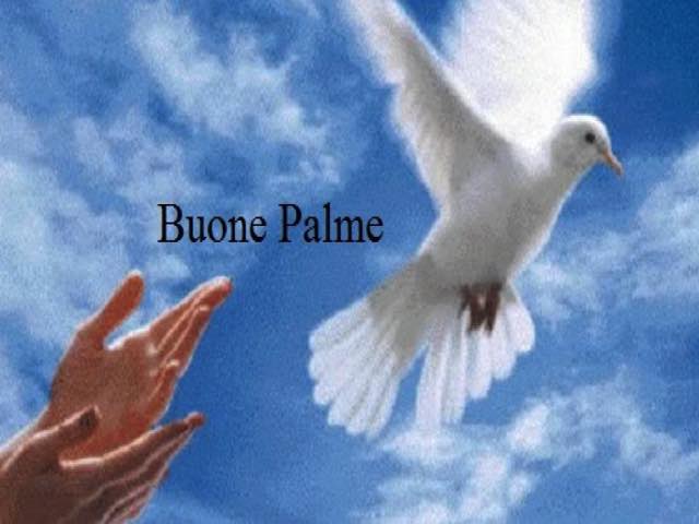 Buone Palme